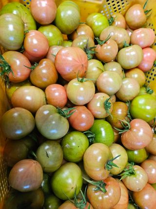 정길영님의 작성글 사진