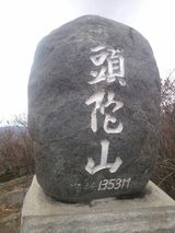 팜모닝 두릅·일상 게시글 이미지