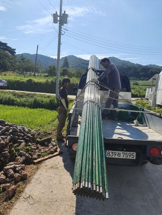 농업회사법인 진향님의 하우스정보 · 자유게시판 작성글 사진