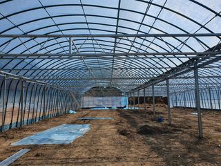 농업회사법인 진향님의 하우스정보 · 자유게시판 작성글 사진