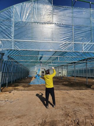 농업회사법인 진향님의 하우스정보 · 자유게시판 작성글 사진