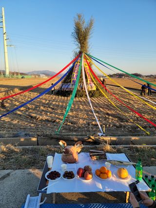 빈현린님의 감 · 자유게시판 작성글 사진