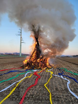 빈현린님의 감 · 자유게시판 작성글 사진