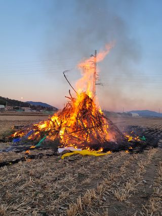 빈현린님의 감 · 자유게시판 작성글 사진