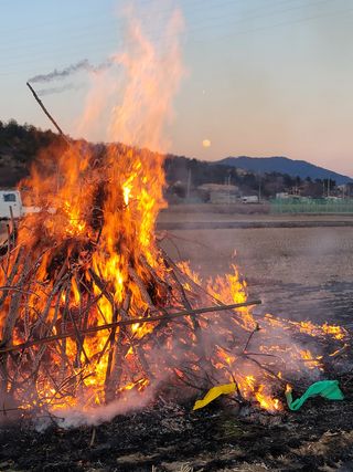 빈현린님의 감 · 자유게시판 작성글 사진
