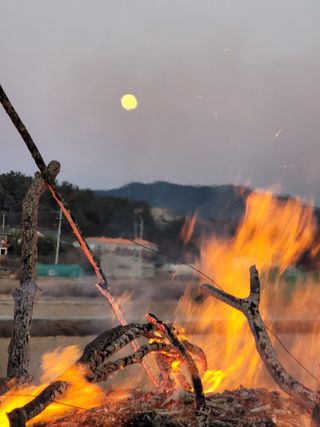 빈현린님의 감 · 자유게시판 작성글 사진