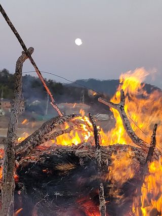 빈현린님의 감 · 자유게시판 작성글 사진