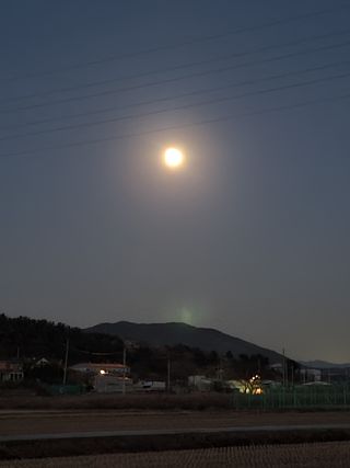 빈현린님의 감 · 자유게시판 작성글 사진