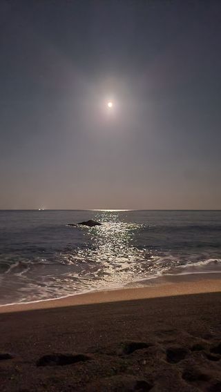 해안로님의 기타작물 · 자유게시판 작성글 사진