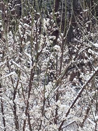 해안로님의 기타작물 · 자유게시판 작성글 사진