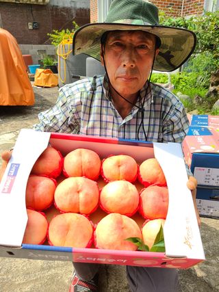 권순복 님의 복숭아 · 자유게시판 작성글 사진
