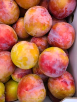 권순복 님의 복숭아 · 자유게시판 작성글 사진