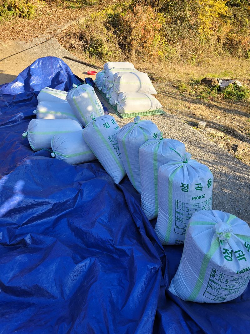 윤인석님의 장터 판매 상품 [들깨 3가마 있어요 ] 첨부 사진