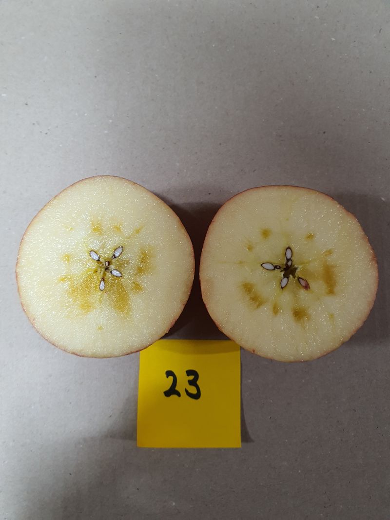 장터 상품 [거창 또바기사과 5/10kg] 썸네일