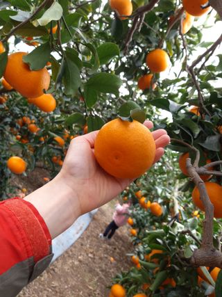 강창민님의 작성글 사진