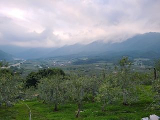 황금알얼음골농원님의 작성글 사진