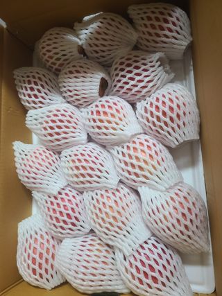 황금알얼음골농원님의 작성글 사진