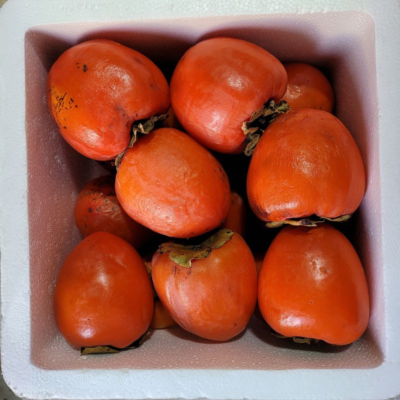 장터 상품 [🍊꿀맛 대봉홍시 4kg, 11kg.  택배무료🍊] 썸네일