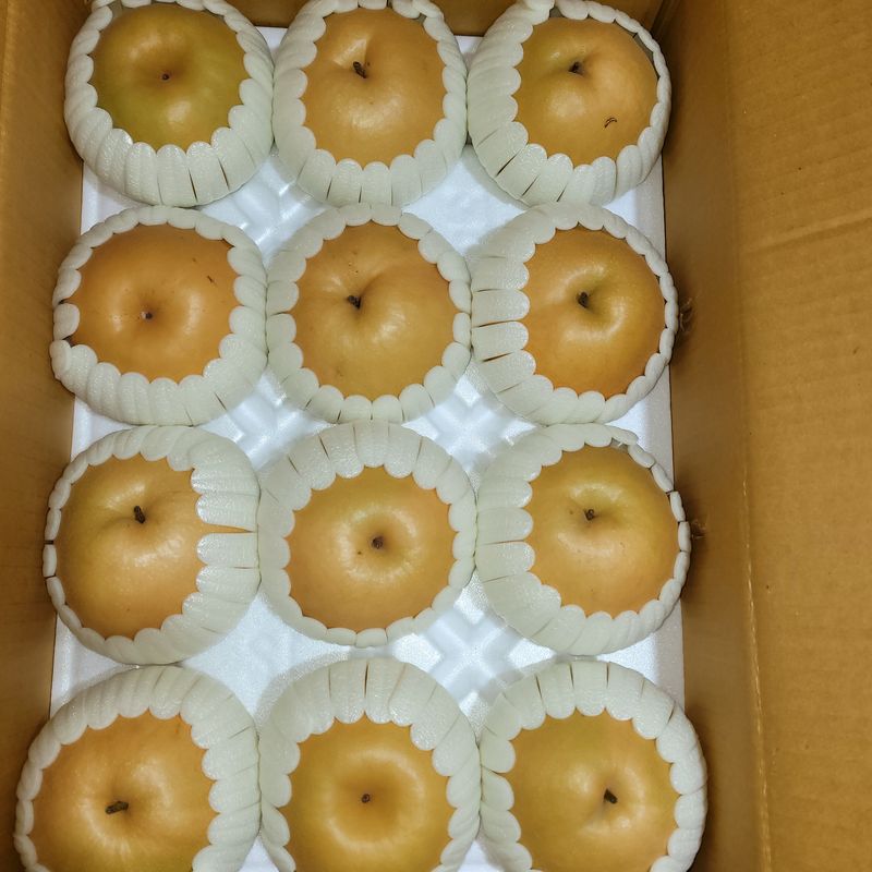 장터 상품 [🟡  신고배7,5kg ,택배무료  🐎] 썸네일