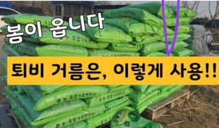 김유미님의 상추 · 자유게시판 작성글 사진