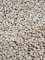 팜모닝 귤·품종•종자 게시글 이미지