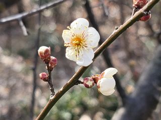 빈현린님의 감 · 자유게시판 작성글 사진