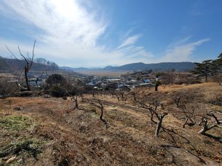 빈현린님의 감 · 자유게시판 작성글 사진