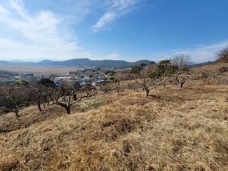 빈현린님의 감 · 자유게시판 작성글 사진