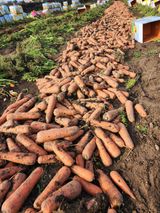 팜모닝 · 게시글 이미지