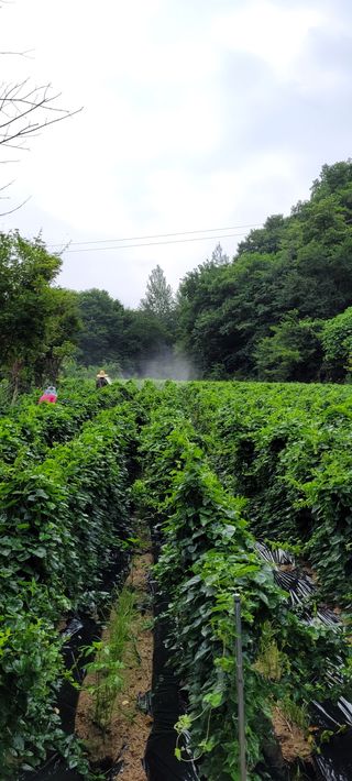 이름유순옥님의 작성글 사진
