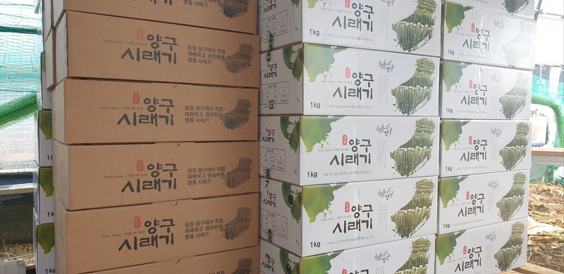 영도팜님의 장터 판매 상품 [양구명품시래기 1kg] 첨부 사진