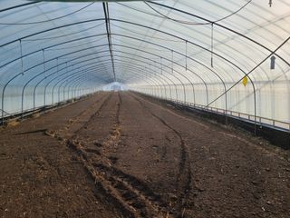 노고단님의 기타작물 · 자유게시판 작성글 사진