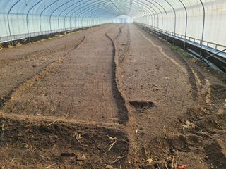 노고단님의 기타작물 · 자유게시판 작성글 사진