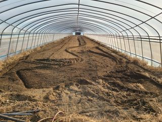 노고단님의 기타작물 · 자유게시판 작성글 사진