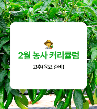 ๊ณ ์ถ ๋์ฌ๋์ฐ๋ฏธ๋์ ๊ณ ์ถ ยท ํ์ข
โข์ ์ ์์ฑ๊ธ ์ฌ์ง