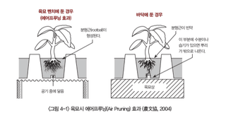 ๊ณ ์ถ ๋์ฌ๋์ฐ๋ฏธ๋์ ๊ณ ์ถ ยท ํ์ข
โข์ ์ ์์ฑ๊ธ ์ฌ์ง