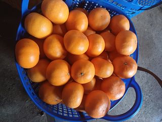 강창민님의 작성글 사진