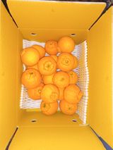 팜모닝 · 게시글 이미지