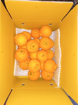 강창민님의 작성글 사진