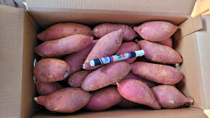 장터 상품 [꿀보장 베니하루카 꿀고구마 10kg] 썸네일