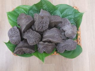 종수네농장님의 작성글 사진