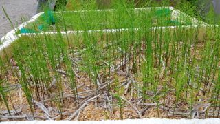 이창신님의 기타작물 · 자유게시판 작성글 사진