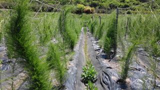 이창신님의 기타작물 · 자유게시판 작성글 사진