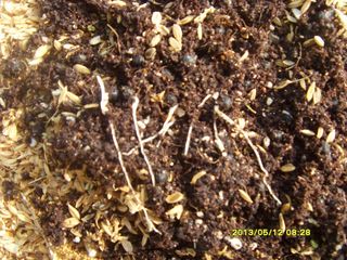 이창신님의 기타작물 · 자유게시판 작성글 사진