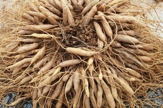 이창신님의 기타작물 · 자유게시판 작성글 사진