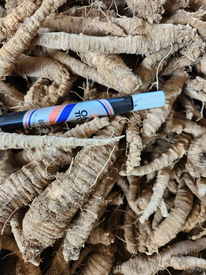 장터 상품 [더덕 4키로 ] 썸네일