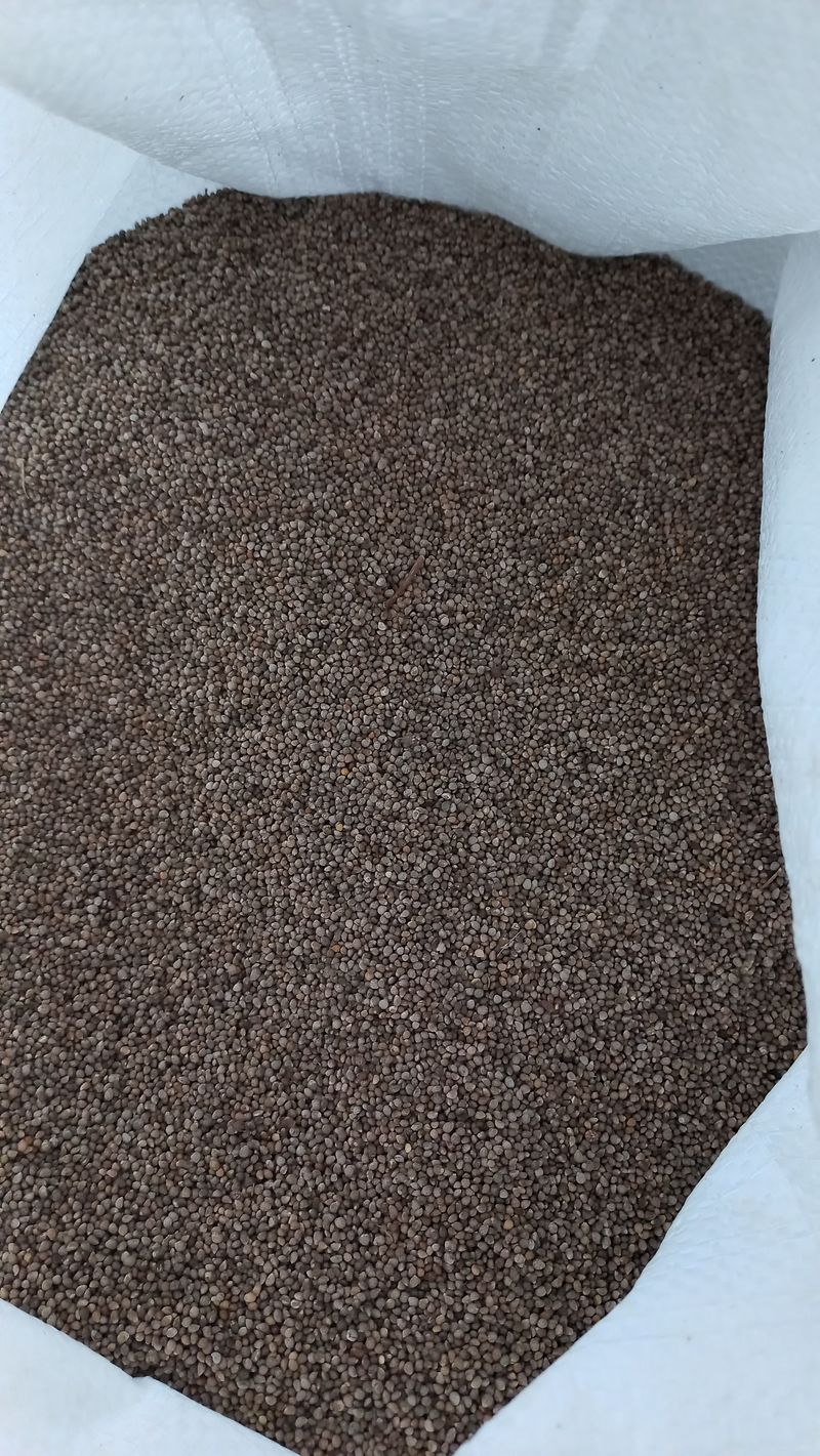 장터 상품 [들께] 썸네일