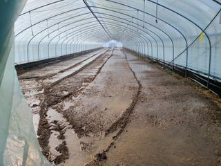 노고단님의 기타작물 · 자유게시판 작성글 사진