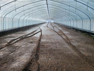 노고단님의 기타작물 · 자유게시판 작성글 사진