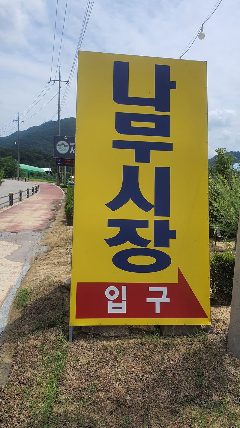 뿌리깊은나무농원님의 장터 판매 상품 [유실수 조경수 생산 전문농원 묘목 분양합니다.] 첨부 사진